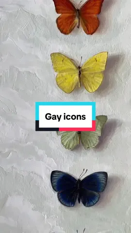 A post by @soundoftheforest on TikTok caption: Replying to @Georgia Morley thank you! 