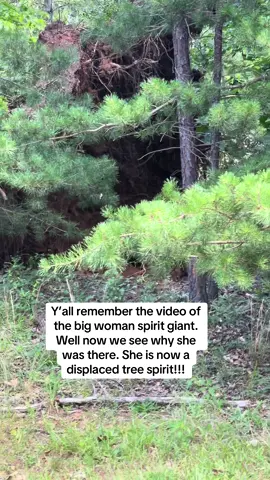A post by @tammyleigh03 on TikTok caption: #fyp #paranormal #medium 