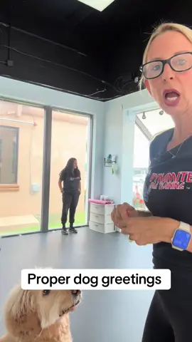 A post by @dynamitedogtraining on TikTok caption: #dogtrainer #fyp #dogtraining #doggo 