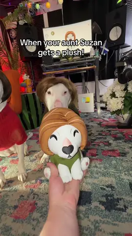 A post by @mistermainer on TikTok caption: Buy the Aunt Suzan plush! In bio link #youtooz #Meme #plush #plushies #funny #memes 