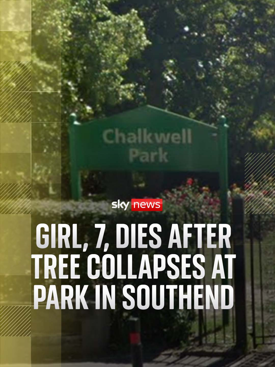 A post by @skynews on TikTok caption: One girl has died and another is in a critical condition after a tree partially collapsed at a park in Essex #UKNews #BreakingNews