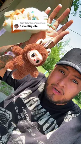 A post by @vicente_ochoa on TikTok caption: Replying to @lu Gamez 