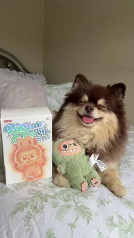 A post by @scout2015 on TikTok caption: Not the Green Labubu Again😭Part 2?!💔… #labubu #toy #puppy #suprise 