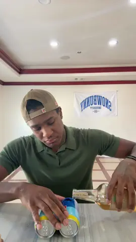 A post by @makeamericapartyagain on TikTok
