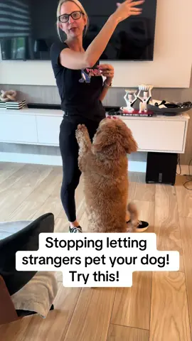 A post by @dynamitedogtraining on TikTok caption: #dogtrainer #fyp #dogtraining #doggo #dogtrainingmadesimple 