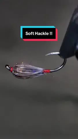 A post by @tiesflies on TikTok caption: Soft hackles are my fav! Hook: Ahrex NS105 size 12 Thread: TheFlySmith 12/0 traditional waxed  Body: Squirrel and ice dub mixed  Rib: flex floss Thorax: SLF Prism dub  Hackle: Sideling hill hen  Resin: uv craft  Tools: TheFlySmith  #TheFlySmith  #flytying #magpiematerials #magpieturkeybiots #magpiefinebeaverdubbing #whitingfarms #naturesspiritflytying #lidrig #fly #flytyingjunkie #flytyingtutorial #flytyingaddict #flytok #satisfying #flytyingnation #fyp #harelinedubbin  #fishing #flyfishing #pescamosca #Upavon #fullingmill #bespoke