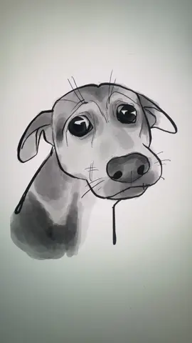 A post by @nirami1 on TikTok caption: @Bellaandmetang #fyp #dog 