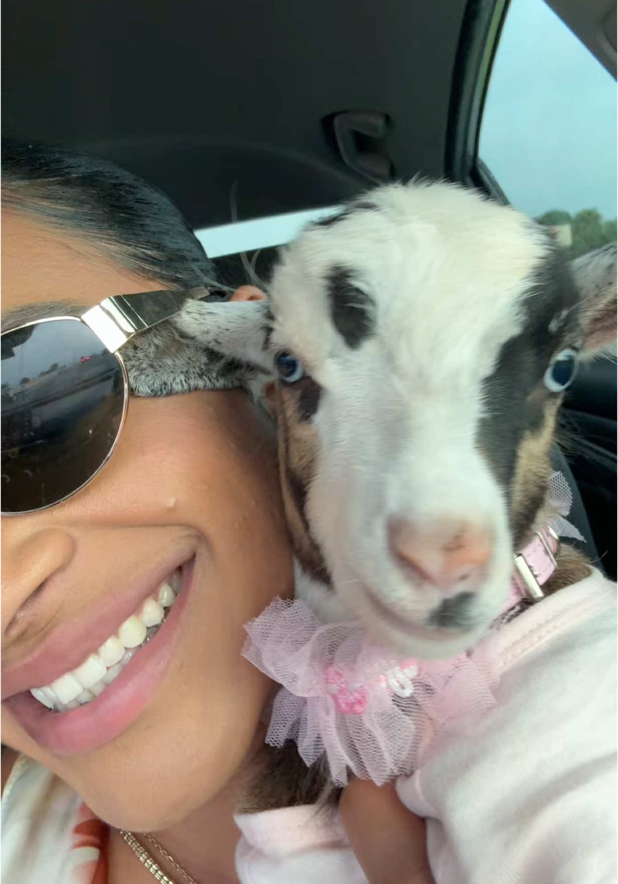 A post by @darileidyconcepcion_ on TikTok caption: Mi bebé 