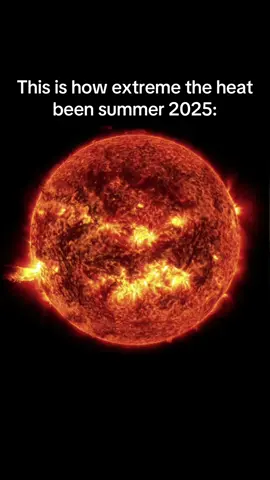 A post by @chefpierce on TikTok caption: Bro the sun been BULLYING us dawg. And my ac done broke at the worst time possible. I real live be depressed to go home because IT’S SO MF HOT. #fyp 