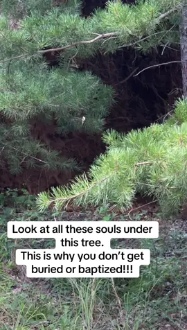 A post by @tammyleigh03 on TikTok caption: #fyp #paranormal #medium 