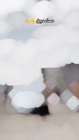 A post by @hemabarbak900 on TikTok