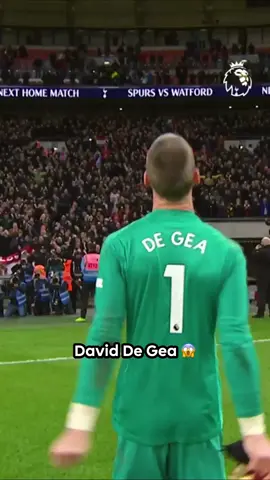 A post by @premierleague on TikTok caption: David De Gea and the art of goalkeeping 💥 #PremierLeague #DeGea #ManUtd 