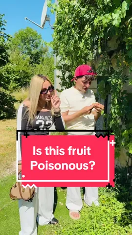 A post by @thecheezyfamily1 on TikTok caption: Mini vlog - day 250 - What fruit is this? I hope its not poisonous #fyp #foru #foryoupage❤️❤️ #foryou #thecheezyfamily1 #makemefamous #viralvideos #france🇫🇷 #family #cuteness #fashion #holiday #loveyou #beauty #funnytiktok 