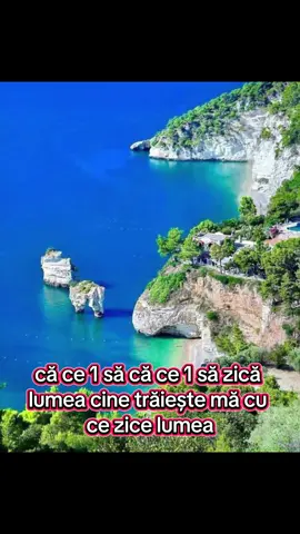 A post by @olteanca01 on TikTok