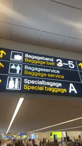 A post by @trixie on TikTok caption: Specialbagage