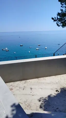 A post by @donaldog3 on TikTok