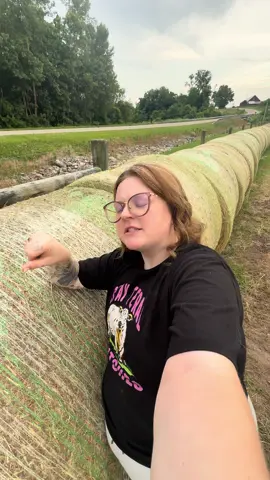 A post by @laciemevans_ on TikTok caption: Let’s talk about Haayyy