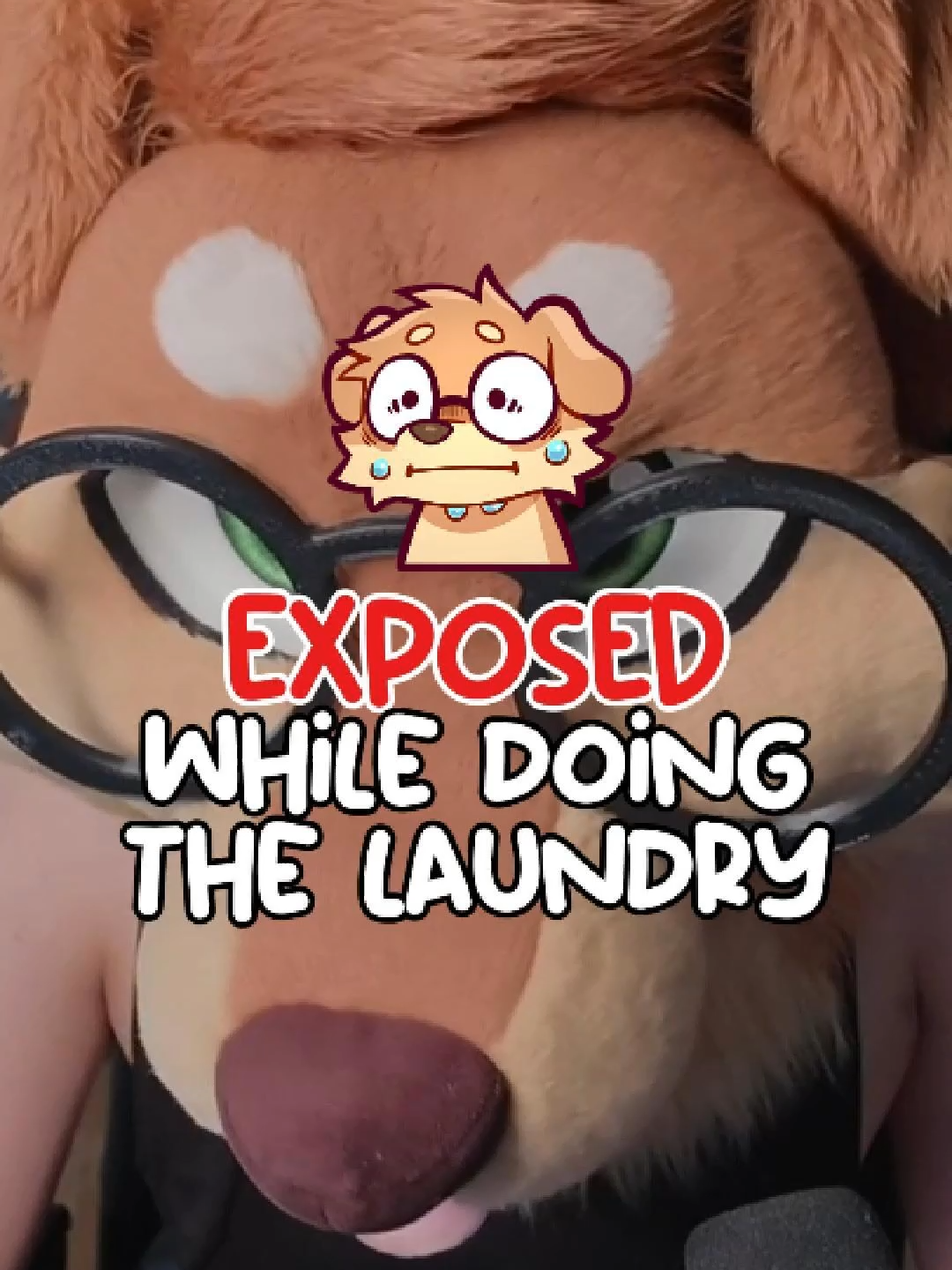 A post by @justafluffymax on TikTok caption: Be careful when you do the laundry #cute #goodboy #furry