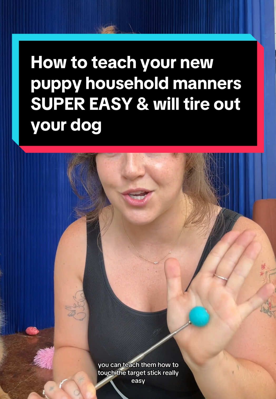 A post by @taylorcezanne on TikTok caption: We LOVE using a target stick for high energy pups! It really helps them think and will help wear them out a bit, which I’m sure you’ll be happy about ❤️🥰  What other dog training tips are you looking for? Let me know in the comments - I really appreciate your feedback & it helps me create better content!  Use code TIKTOK to save $$$ on any of my guides (in my bio) 🐶  #puppylife #puppymannersseries #puppyprepping #dogtraininghowto #targetstick #germanshepherd #taylorcezanne 