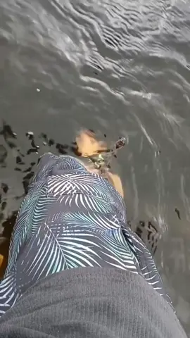 A post by @tacoreacts on TikTok caption: #Stitch with @Jarod Hindsman oh no
