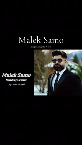 A post by @malek_samo_ on TikTok caption: Malek Samo @Naji Shingali #GenshinImpact34 