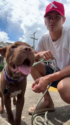A post by @jakeslaton on TikTok caption: Last day with my buddy :(