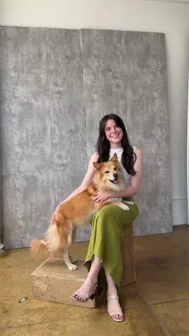 A post by @simonsits on TikTok caption: Why is my dog the best model? 😭 thank you to @TheWaysOfTheDog for such a fun shoot! 