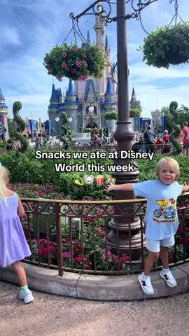 A post by @johnplusaly on TikTok caption: Made a dent in my snack list- an honorable mention that I didn’t take a photo of was the Carrot Cake Whoopie Pie! YUM!! #disney #disneysnacks #food #disneyfood #florida #fyp #magickingdom #animalkingdom #wdw #trend #viral #snacks 