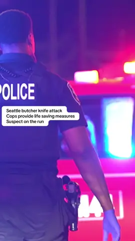 A post by @photogsteve81 on TikTok caption: Seattle police are investigating a stabbing early Sunday that left a 58-year-old woman seriously injured in the Yesler Terrace neighborhood. At 12:56 a.m., officers responded to a reported of a stabbing at an apartment in the 1100 block of Fir Street. A neighbor called 911 after the victim arrived at their door with multiple stab wounds. Police found the woman on the third floor of the complex with stab wounds to her neck, face, arm, and leg. Officers provided medical aid until Seattle Fire Department (SFD) medics arrived and took over lifesaving efforts. SFD transported her to Harborview Medical Center in serious condition. Police determined the victim was awakened by an unprovoked attack inside her apartment by her 33-year-old daughter. She was also stabbed with a butcher knife in the complex hallway during the domestic violence incident. The suspect fled the scene before officers arrived. Officers searched the area with the assistance of Real Time Crime Center personnel but did not locate the suspect. Domestic Violence Unit detectives are handling the investigation and working to determine what led to the assault. Anyone with information is asked to call the SPD Violent Crimes Tip Line at 206-233-5000 Incident Number 2025-180390/East Precinct/G1 #info #news #truecrime #truecrime 