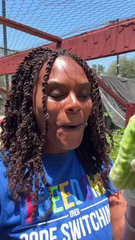 A post by @iamtabithabrown on TikTok caption: Yall look at my garden after my mother in law put the banana water in it last week!! #tabithabrown #garden #soexcited