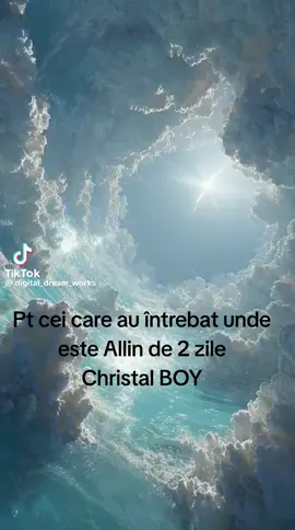 A post by @feraru0709 on TikTok caption: @allin @Allin_poker_stoker 