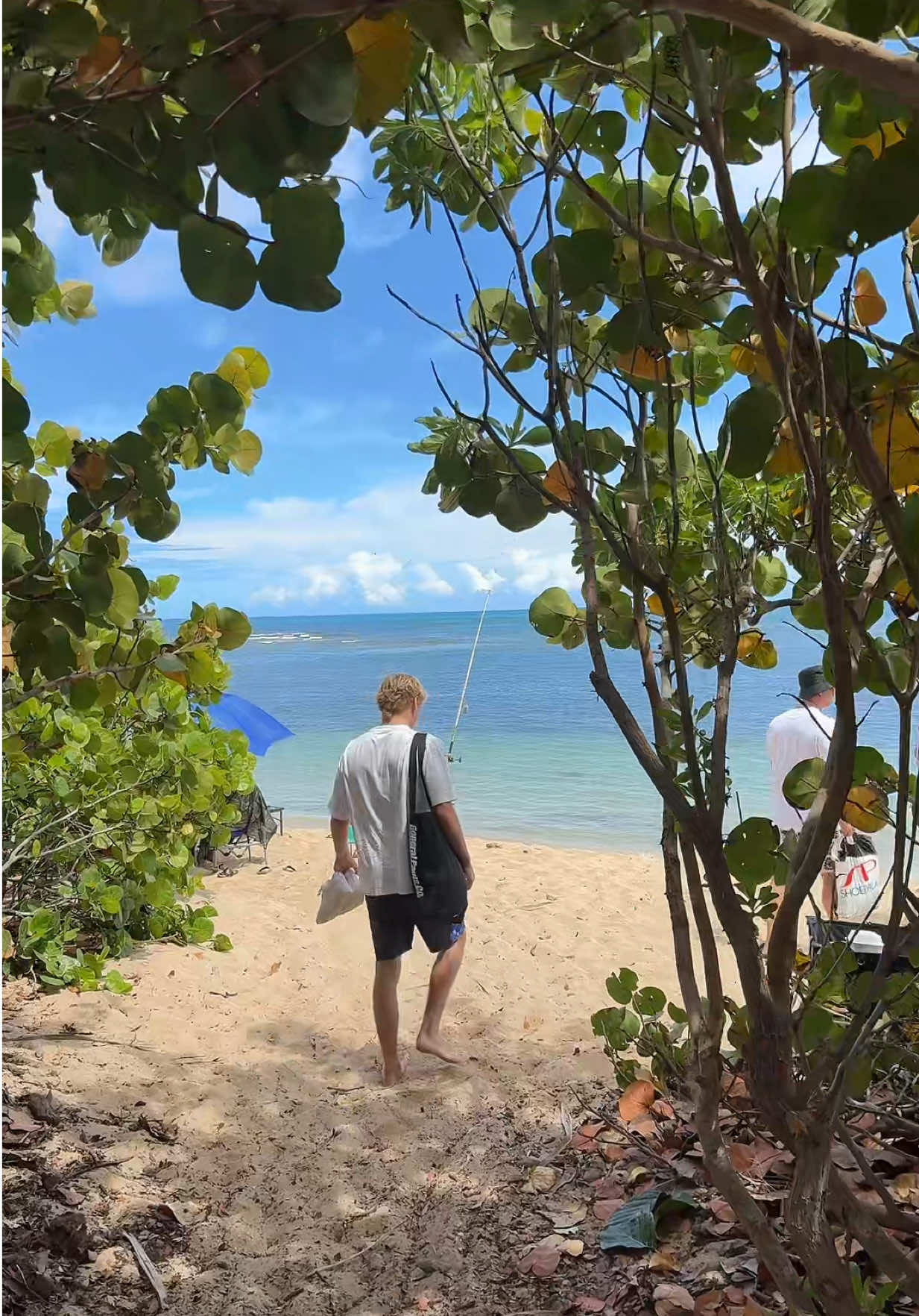 A post by @livvwalker on TikTok caption: north shore with the fam 💋 #hawaii 