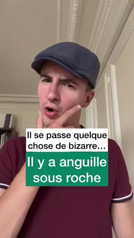 A post by @frenchschooltv on TikTok caption: Développe tes compétences en français, grâce à @Bonjour French 🇫🇷 🤩