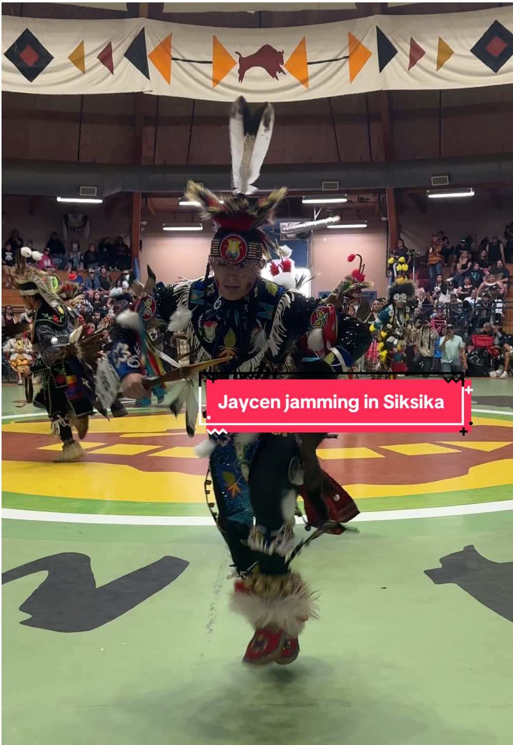 A post by @desiraedesnomie on TikTok caption: @jaycen danced his heart out in chicken country! Proud of our chicken champ! 