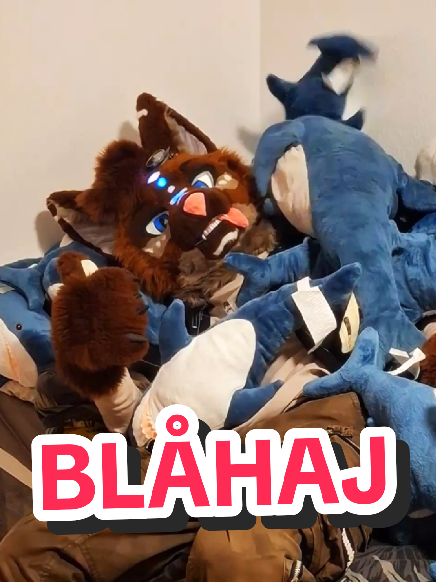 A post by @hyroe on TikTok caption: BLÅHAJ moment