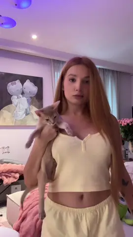 A post by @tenderlybaemusic on TikTok