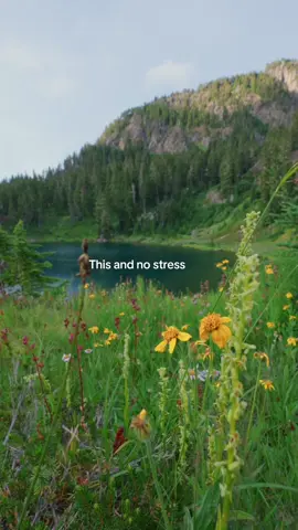 A post by @itsloganmarie on TikTok caption: Backcountry just hits right everytime #backpacking #mountbaker #washington #pnwlife 