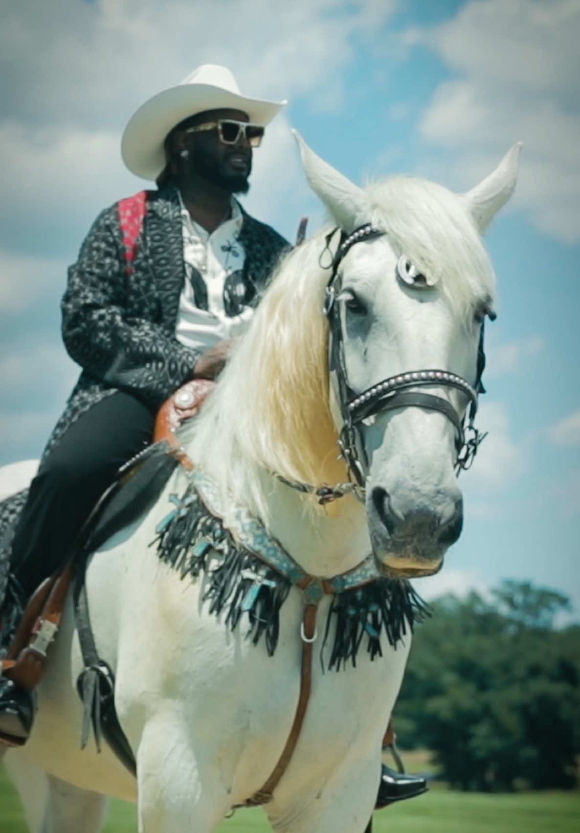 A post by @tpain on TikTok caption: On my white horse 