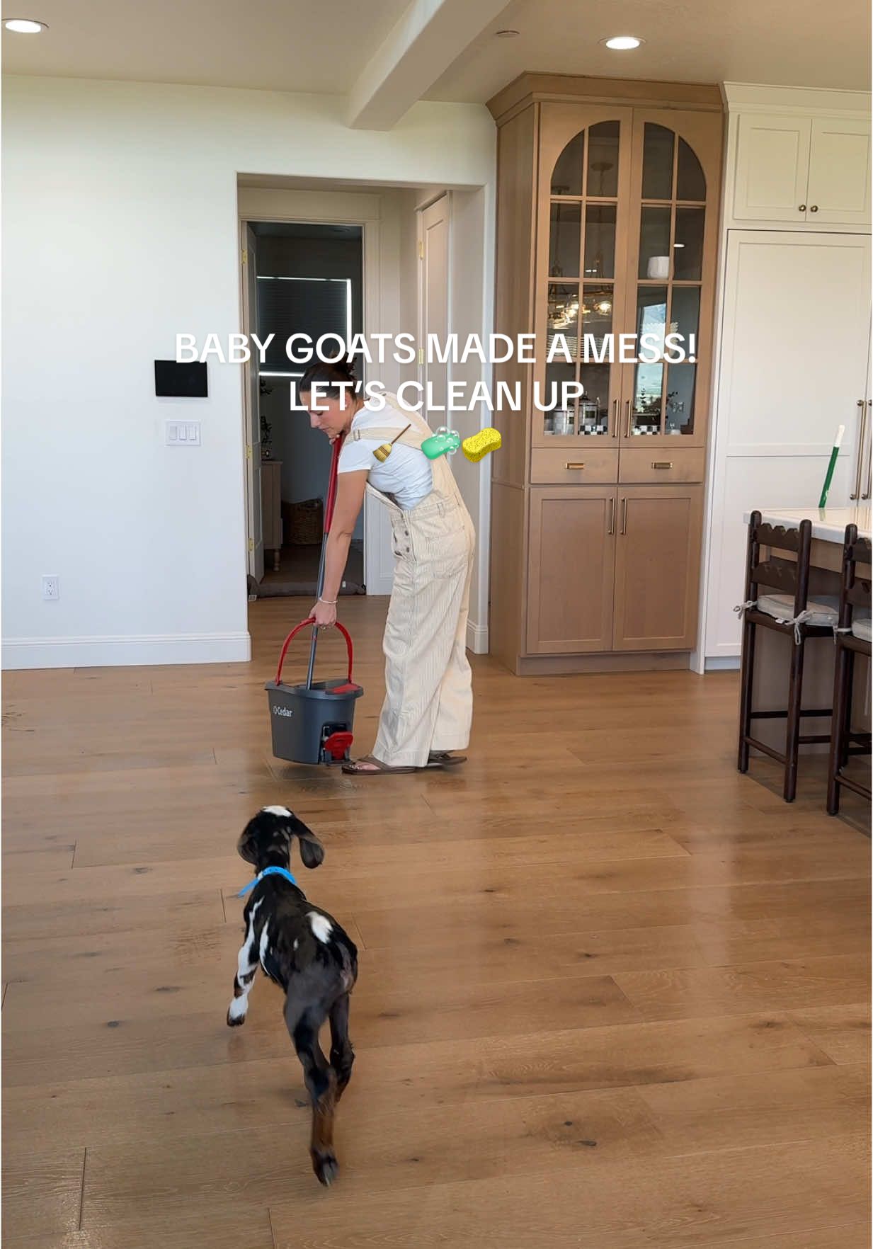 A post by @kimberlyoconnell on TikTok caption: #ad cleaning with baby goats is fun with the O-Ceder EasyWring Spin Mop! @O-Cedar #OCedarPartner 