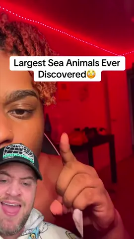 A post by @richardsalesofficial on TikTok caption: #duet LARGEST SEA ANIMALS EVER DISCOVERED @ItsMarr™ - IG - richardsalesofficial #viral #xyzbca #FYP 