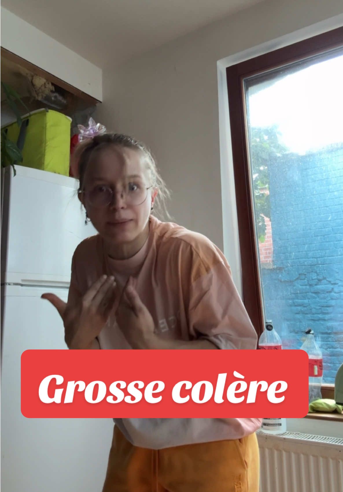 A post by @alinedessine on TikTok caption: Grosse colère 