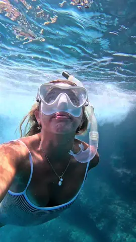 A post by @ajcoastal on TikTok caption: Okay I’m obsessed with this lil underwater world!! 