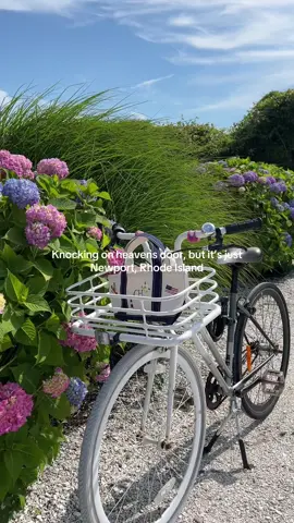 A post by @claudia.harrington on TikTok caption: New England summer or nowhere!! @castlehillinn 🦞 🐚 No better place to dive into summer than at my favorite hotel 🥹 40 acres of pure magic & the most delicious dining experiences in Newport, RI. Already dreaming of going back #CastleHillInn #CastleHill #NewEnglandSummer