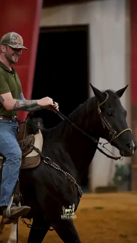 A post by @matt_mathews on TikTok caption: The Queen #barrelracer #horsesoftiktok 