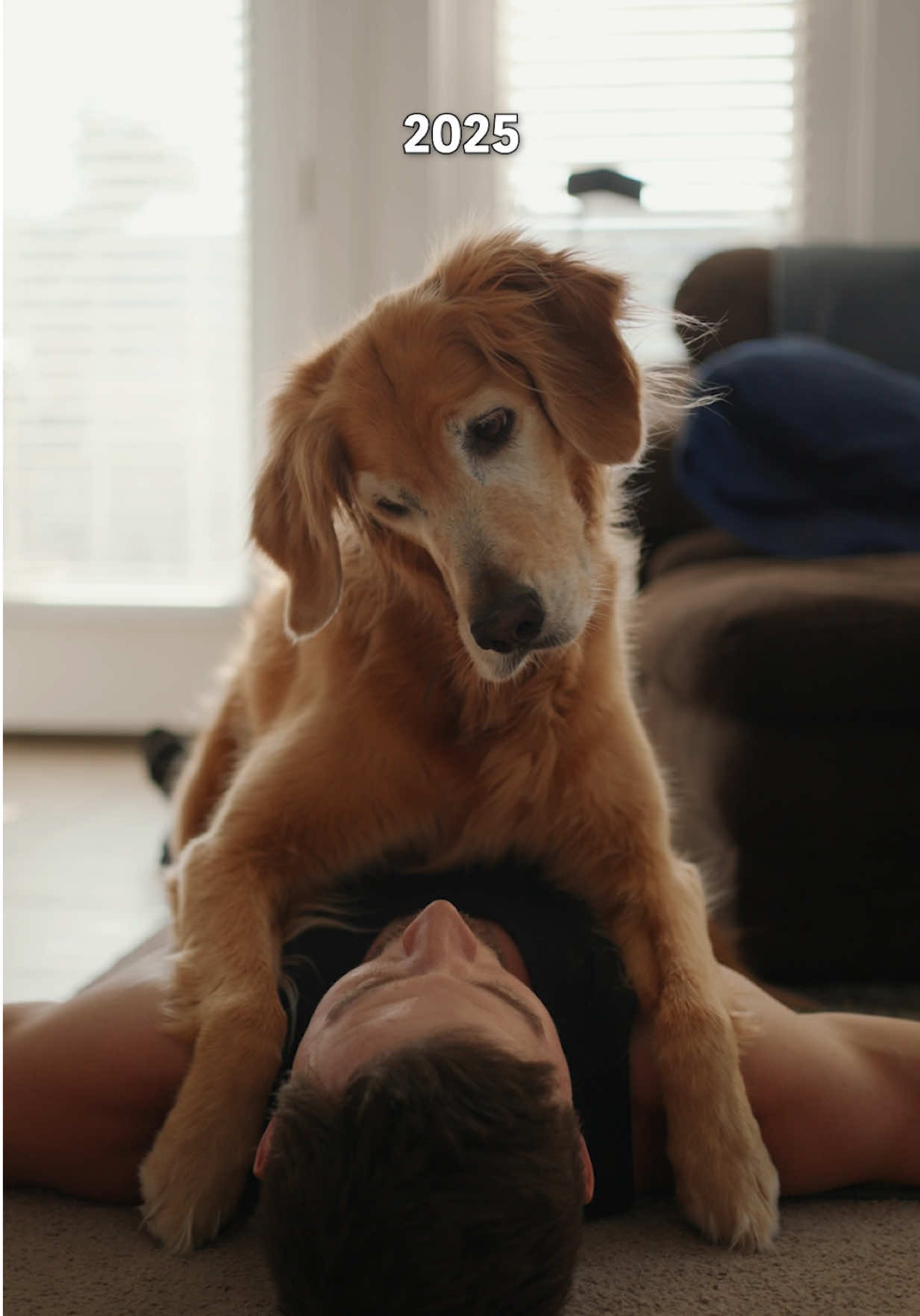 A post by @adventuringwithnala on TikTok caption: Nala smushes 🤗 