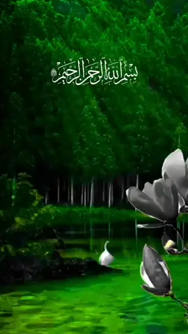A post by @lkjh.gfdsa5 on TikTok caption: #راحة_نفسية