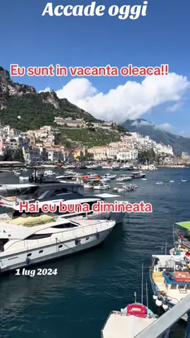 A post by @olteanca01 on TikTok caption: #accadeoggi 