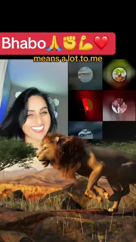 A post by @1313_sardarniji_no1 on TikTok caption: 🤗, thank you for the incredible support in my LIVE! I will keep creating better LIVE content!@🤗 #tiktoklive #livehighlights #livegift #lion #handheart 