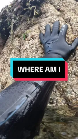 A post by @scubadan_ on TikTok caption: 10 points if you guess where I am 🧙‍♀️ 