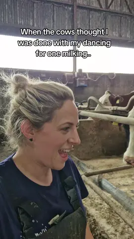 A post by @legendairy_holsteins on TikTok caption: Back for round 2 of the day 💃🐄